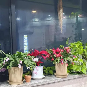양천골흑염소요리전문점 사진
