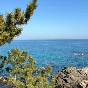 마린데크 리뷰 사진