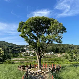 무타블랑 리뷰 사진