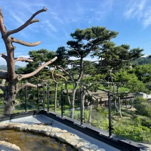 무타블랑 리뷰 사진