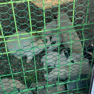 무타블랑 리뷰 사진