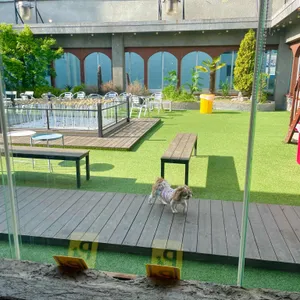 아틀라스 리뷰 사진