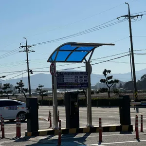 솔향대게 리뷰 사진