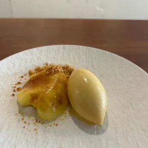 앨리스 프로젝트 사진