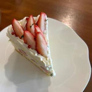 앨리스 프로젝트 리뷰 사진