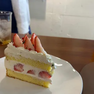 앨리스 프로젝트 리뷰 사진