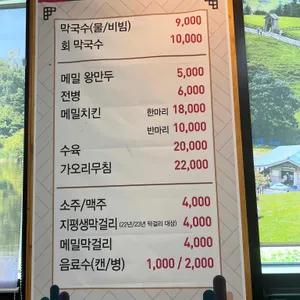 중앙탑 뚱감자 메밀막국수 리뷰 사진