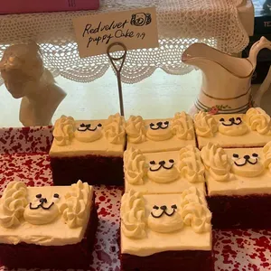 레이어드 리뷰 사진
