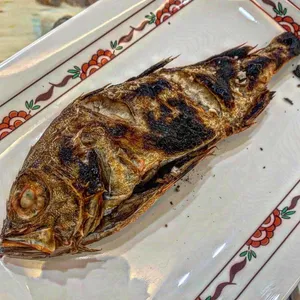 도미다리 사진