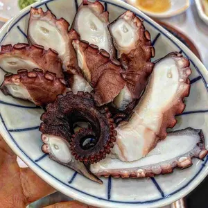 도미다리 사진