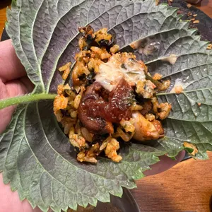 쭈꾸미도사 사진