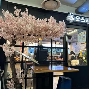 오스시 리뷰 사진