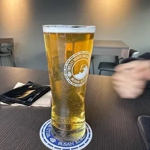 사우어 영도 사진