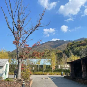 나인블럭 리뷰 사진