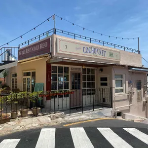 꼬쇼네 리뷰 사진