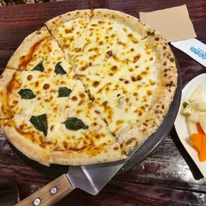 올리브장작 사진