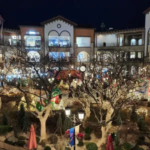 바오차이 리뷰 사진