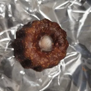 파리크라상 리뷰 사진