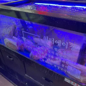 몽작 리뷰 사진