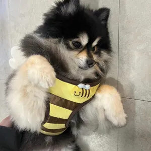 썸이프 리뷰 사진