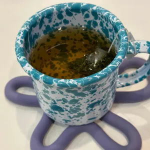 너티 사진