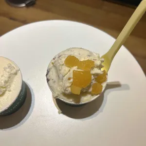 젤라떼리아 도도 사진