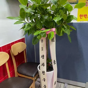 미오또닭강정 리뷰 사진