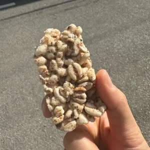 화순집 리뷰 사진