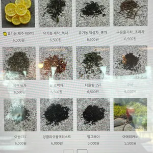 녹화 리뷰 사진