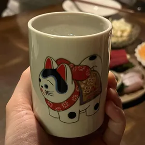 아지츠케 사진
