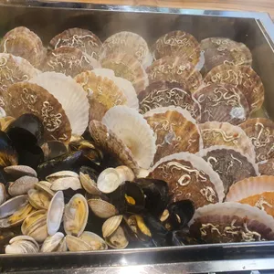 찌마기  사진