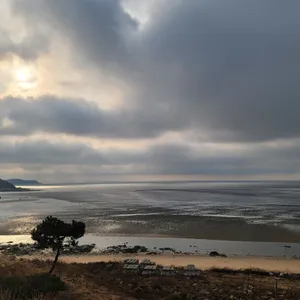 엠클리프 리뷰 사진