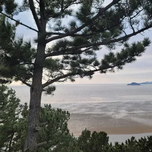 엠클리프 리뷰 사진