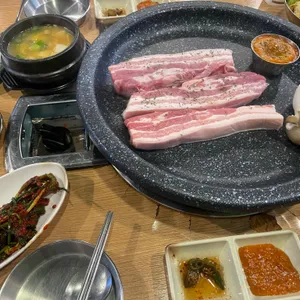 제주꽃돼지 사진
