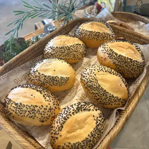 악소 사진
