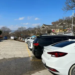 황금코다리 리뷰 사진