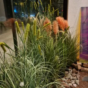 이배재제빵소 리뷰 사진