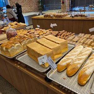 빵파제 사진