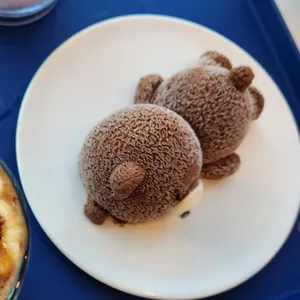 보움 사진