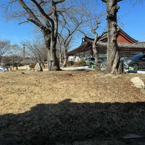 난식당1974 리뷰 사진