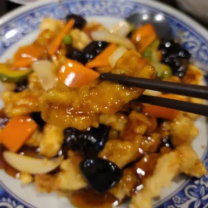 금정 사진