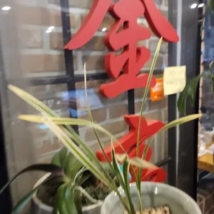 금정 리뷰 사진