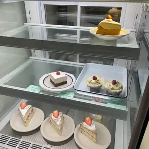 버건디 사진