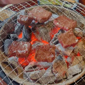 히바치텐 사진
