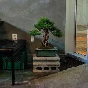 미추 리뷰 사진
