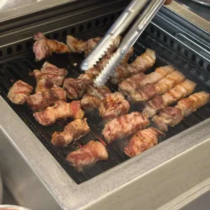 용돼지 사진