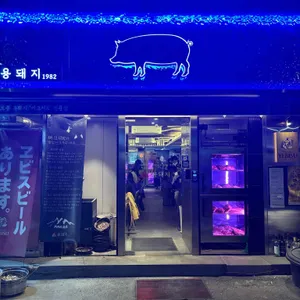 용돼지 리뷰 사진