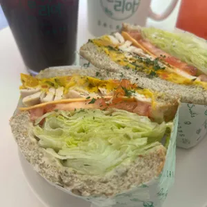 샐러리아 사진