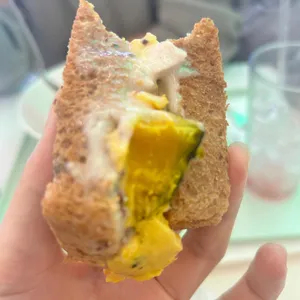 샐러리아 사진