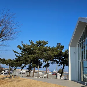 장고목 리뷰 사진